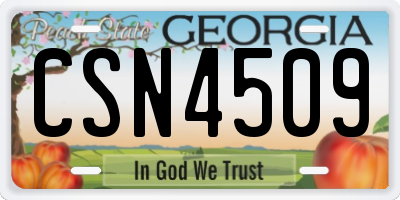 GA license plate CSN4509