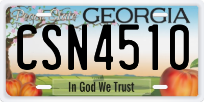 GA license plate CSN4510