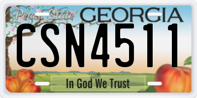 GA license plate CSN4511