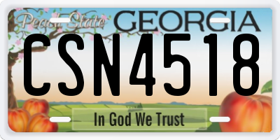 GA license plate CSN4518
