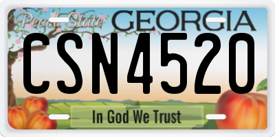 GA license plate CSN4520