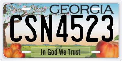 GA license plate CSN4523