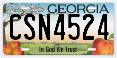 GA license plate CSN4524