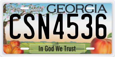 GA license plate CSN4536