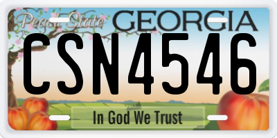 GA license plate CSN4546