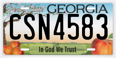 GA license plate CSN4583