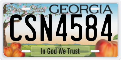 GA license plate CSN4584