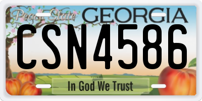 GA license plate CSN4586