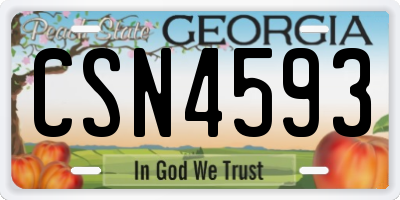 GA license plate CSN4593