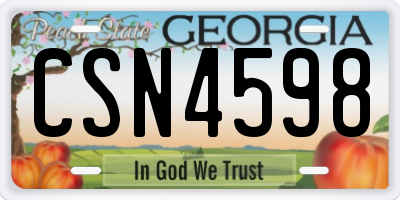 GA license plate CSN4598