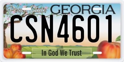 GA license plate CSN4601
