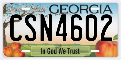 GA license plate CSN4602