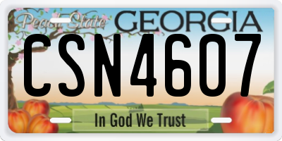 GA license plate CSN4607