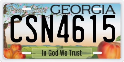 GA license plate CSN4615