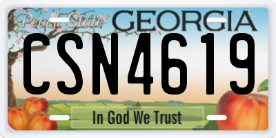 GA license plate CSN4619