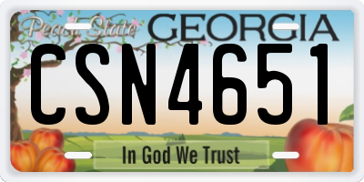 GA license plate CSN4651