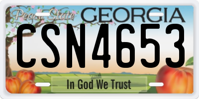 GA license plate CSN4653