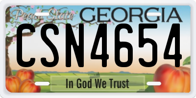 GA license plate CSN4654