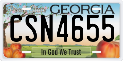 GA license plate CSN4655