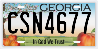 GA license plate CSN4677