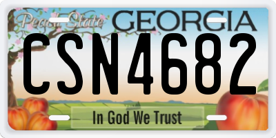 GA license plate CSN4682