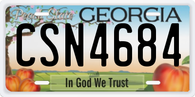 GA license plate CSN4684
