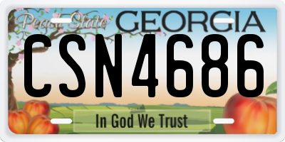 GA license plate CSN4686
