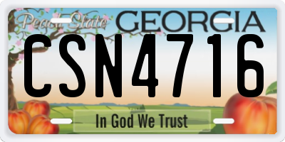 GA license plate CSN4716