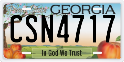 GA license plate CSN4717