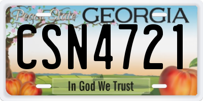 GA license plate CSN4721