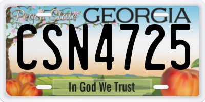GA license plate CSN4725