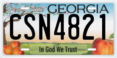 GA license plate CSN4821