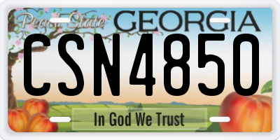GA license plate CSN4850