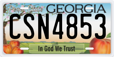 GA license plate CSN4853