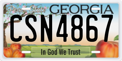 GA license plate CSN4867