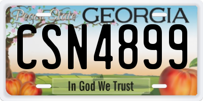 GA license plate CSN4899