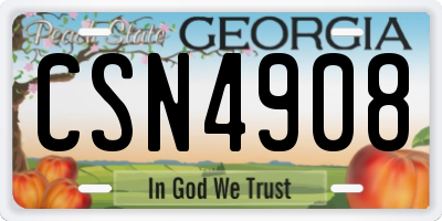 GA license plate CSN4908
