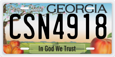 GA license plate CSN4918