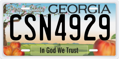 GA license plate CSN4929