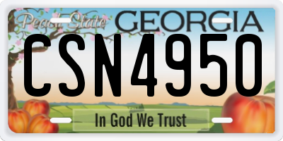 GA license plate CSN4950