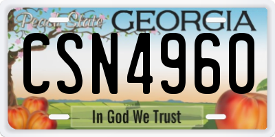 GA license plate CSN4960