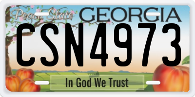 GA license plate CSN4973