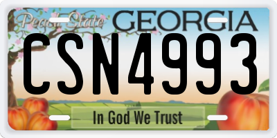 GA license plate CSN4993