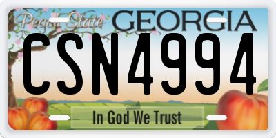 GA license plate CSN4994