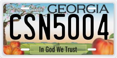 GA license plate CSN5004