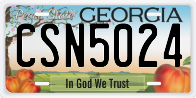 GA license plate CSN5024