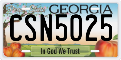 GA license plate CSN5025