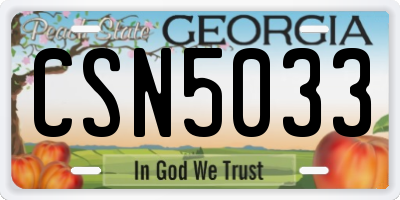 GA license plate CSN5033