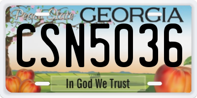 GA license plate CSN5036