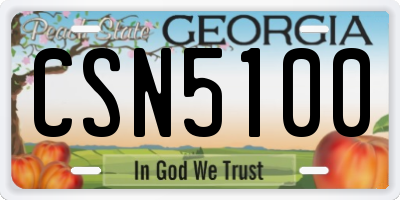 GA license plate CSN5100